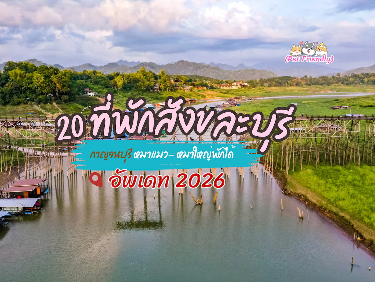20 ที่พักสังขละบุรี กาญจนบุรี | หมาใหญ่พักได้ Pet Friendly (วิวสะพานมอญ) 2026