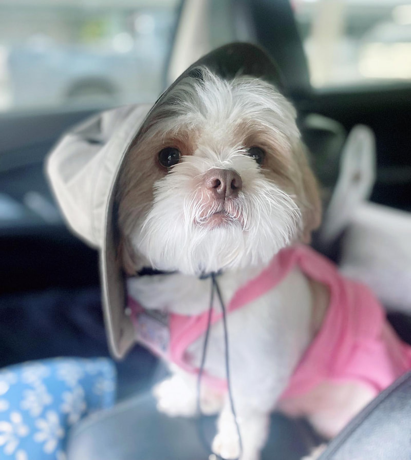 วิธีทำโมเดล fig น่ารักๆ กำลังฮิตตอนนี้ใส่กล่องพร้อม ด้วย google gemini 