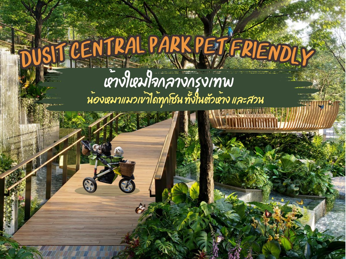 Dusit Central Park Pet Friendly ห้างใหม่ใจกลางกรุงเทพ น้องหมาแมวเข้าได้ทุกโซน