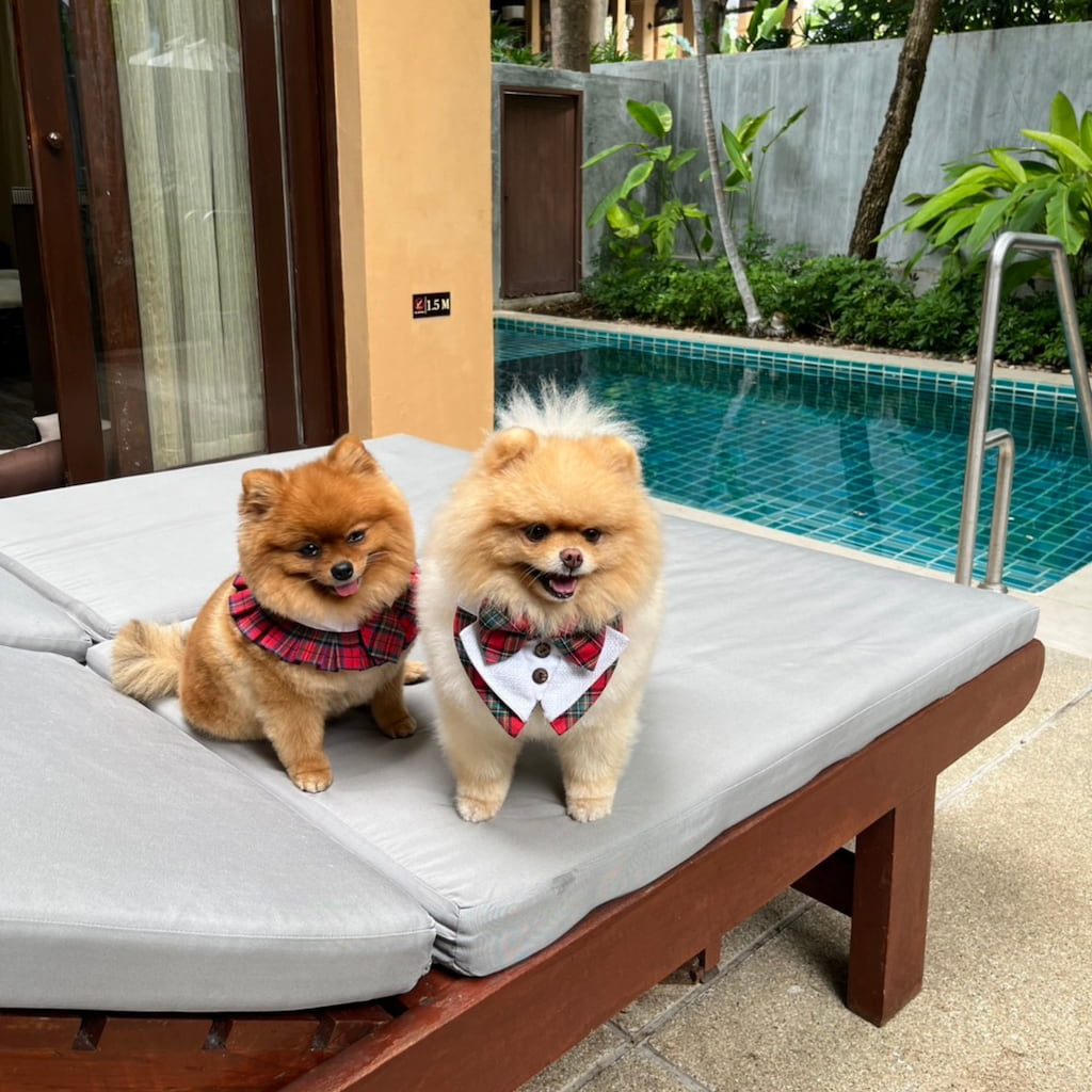 Mövenpick Asara Hua Hin: หรู Pet-Friendly ริมทะเล พาน้องหมาใหญ่พักได้