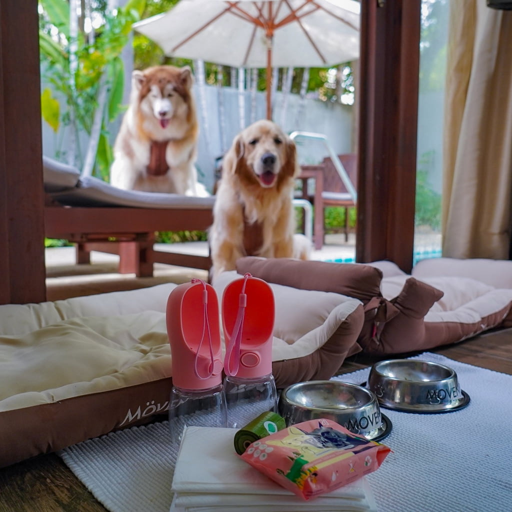 Mövenpick Asara Hua Hin: หรู Pet-Friendly ริมทะเล พาน้องหมาใหญ่พักได้