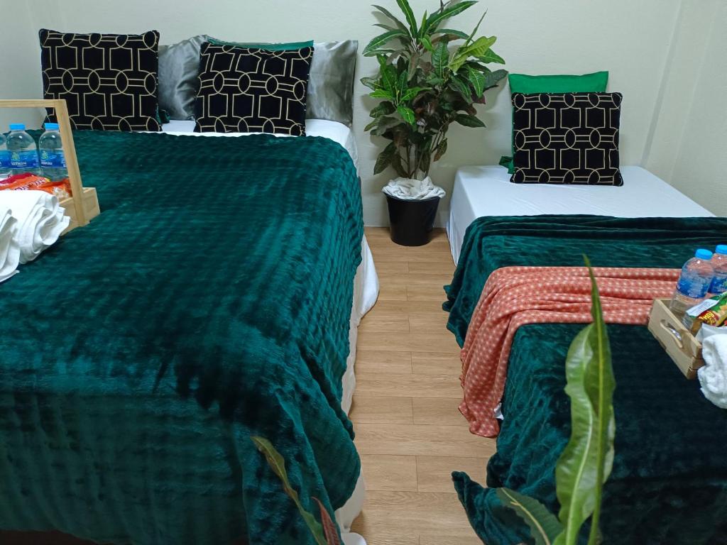 ที่พักสงขลา สุนัขเข้าได้ แมวพักได้ ใกล้หาดสมิหลา เขาตังกวน เมืองเก่า | อัปเดต 