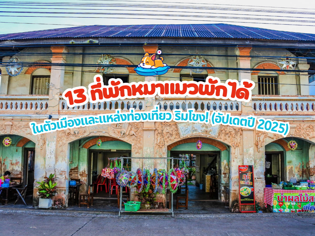 10 ที่พักนครพนม หมา-แมวเข้าได้ 'ในตัวเมือง' และแหล่งท่องเที่ยว ริมโขง