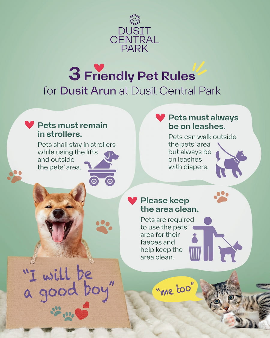 ห้างสัตว์เลี้ยงเข้าได้ในกรุงเทพฯ ปี 2025