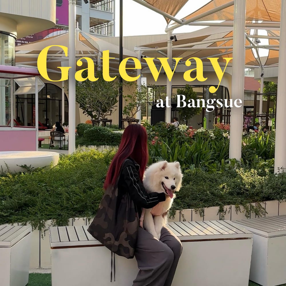 ห้างที่พาสุนัขเข้าได้ 2568 ? กรุงเทพฯ ปริมณฑล