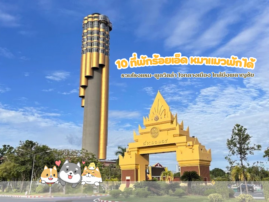 10 ที่พักร้อยเอ็ด หมาแมวพักได้ รวมโรงแรม–พูลวิลล่า ใจกลางเมือง ใกล้บึงพลาญชัย (อัปเดต 2025)