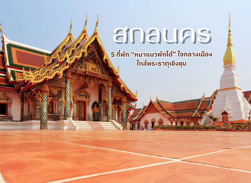 รวมที่พักสกลนครในเมือง “หมาพักได้–แมวพักได้”