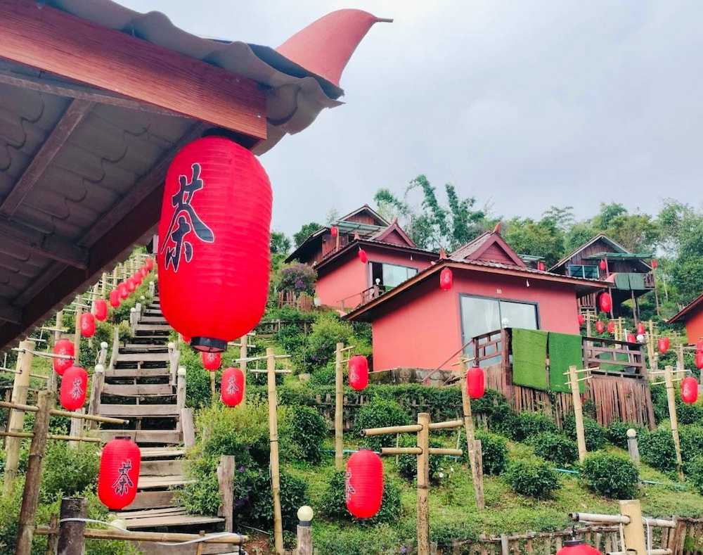 อัปเดต! ที่พักบ้านรักไทย (Pet Friendly) พาหมาแมวเที่ยวได้ ชมไร่ชา ทะเลหมอก แม่ฮ่องสอน