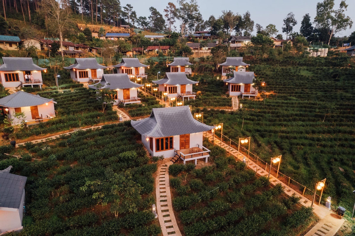 อัปเดต! ที่พักบ้านรักไทย (Pet Friendly) พาหมาแมวเที่ยวได้ ชมไร่ชา ทะเลหมอก แม่ฮ่องสอน