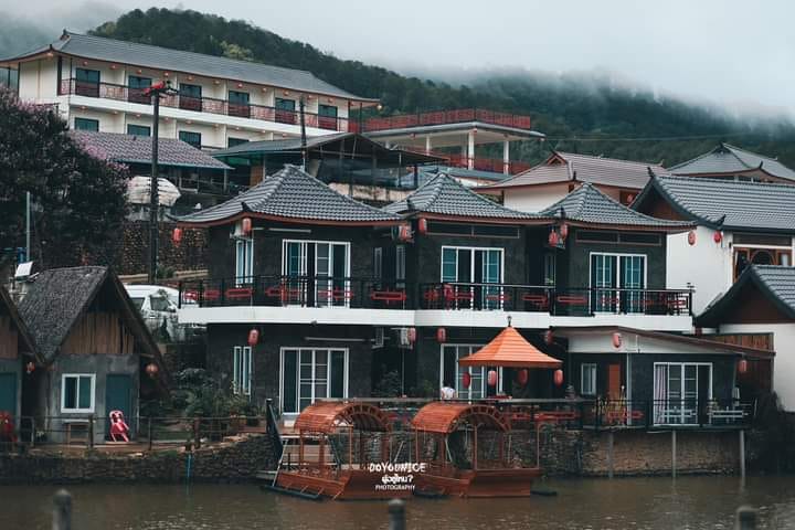 อัปเดต! ที่พักบ้านรักไทย (Pet Friendly) พาหมาแมวเที่ยวได้ ชมไร่ชา ทะเลหมอก แม่ฮ่องสอน