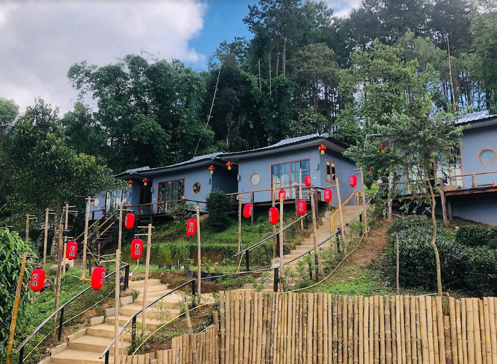 อัปเดต! ที่พักบ้านรักไทย (Pet Friendly) พาหมาแมวเที่ยวได้ ชมไร่ชา ทะเลหมอก แม่ฮ่องสอน