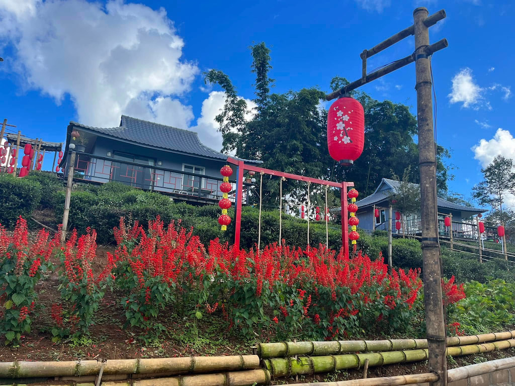 อัปเดต! ที่พักบ้านรักไทย (Pet Friendly) พาหมาแมวเที่ยวได้ ชมไร่ชา ทะเลหมอก แม่ฮ่องสอน