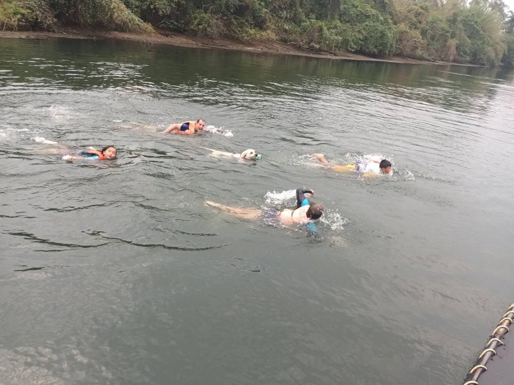 Pet friendly ที่พักกาญจนบุรี Tiger House River Kwai ใกล้ น้ำตกเอราวัณ