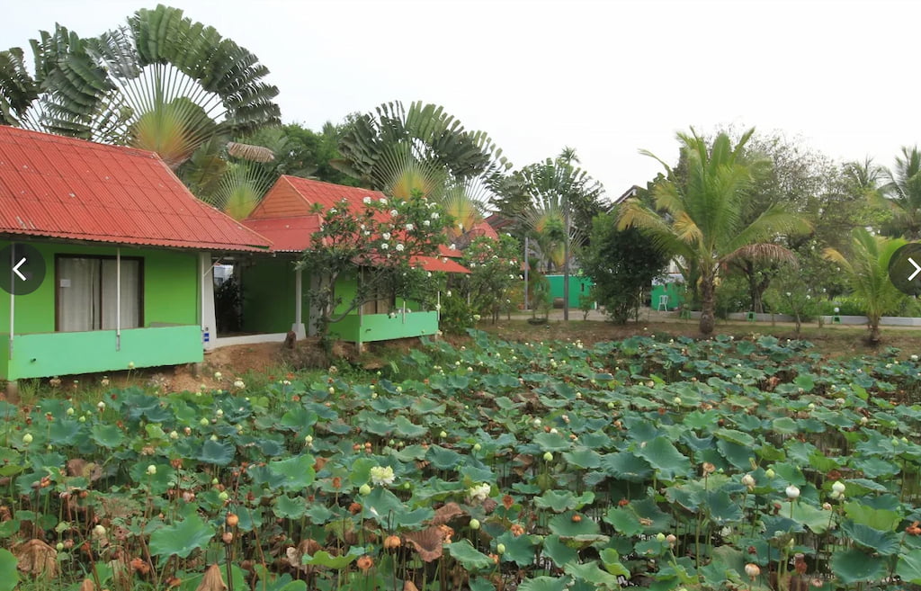 รวมที่พักสกลนครในเมือง “หมาพักได้–แมวพักได้”