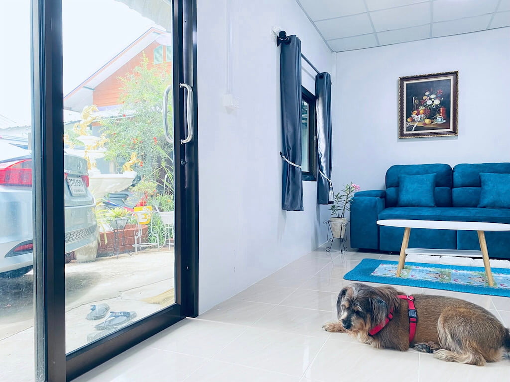 ที่พักโคราชหมาแมวพักได้ ในตัวเมือง Sirisopha Private Resort ราคาหลักร้อย