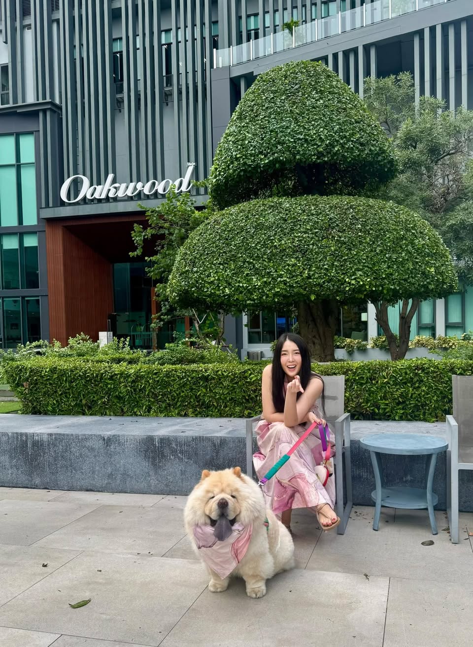 โอ๊ควู๊ด โฮเทล แอนด์ เรสซิเดนซ์ ศรีราชา | ที่พักหมาให ...