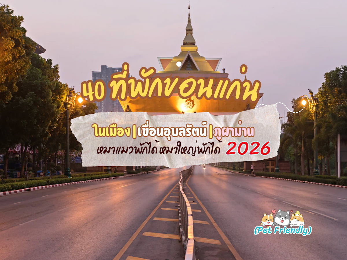 40 ที่พักขอนแก่น Pet Friendly หมาใหญ่พักได้ | ในเมือง/เขื่อนอุบลรัตน์/ภูผาม่าน