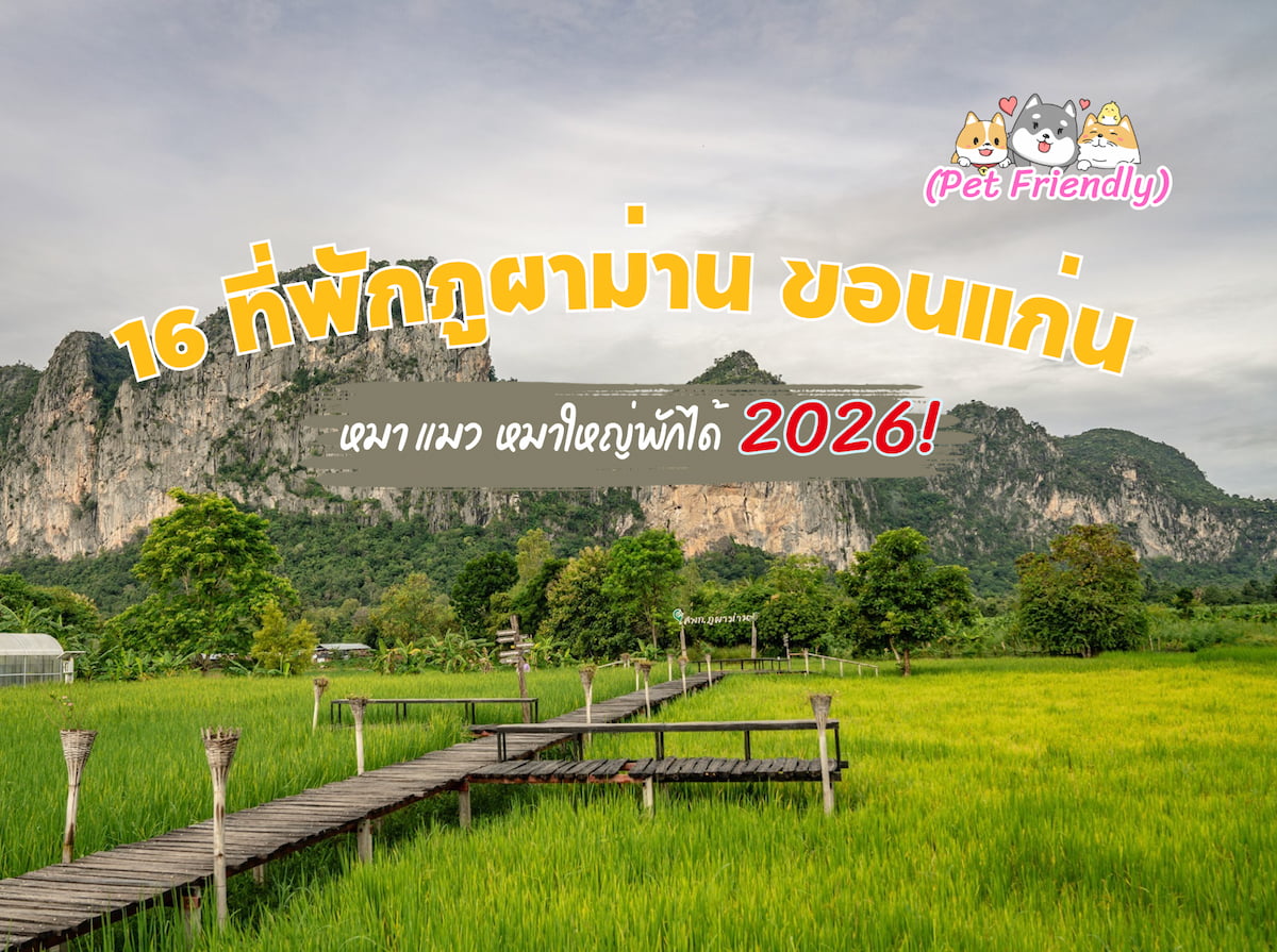 16 ที่พักภูผาม่าน ขอนแก่น Pet Friendly (หมา/แมว) หมาใหญ่พักได้ 2569