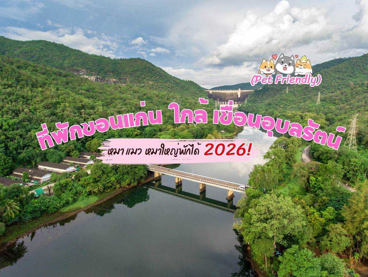 ที่พักขอนแก่น Pet Friendly (หมาใหญ่พักได้) ใกล้ เขื่อนอุบลรัตน์ | อัปเดต 2026