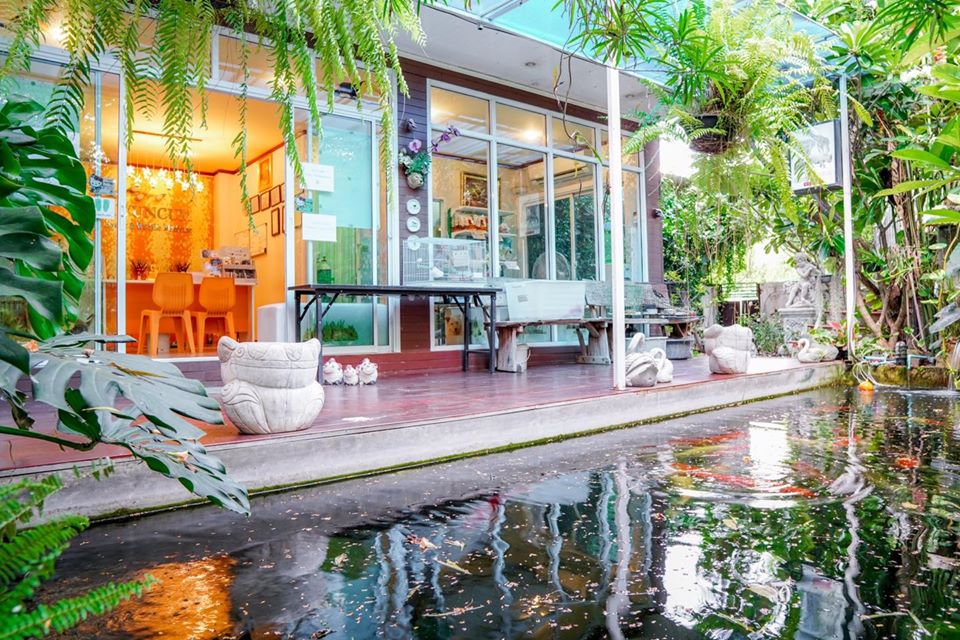 25 ที่พักขอนแก่น Pet Friendly หมาแมวพักได้ (ในเมือง) ใกล้เซ็นทรัล & บึงแก่นนคร 2569