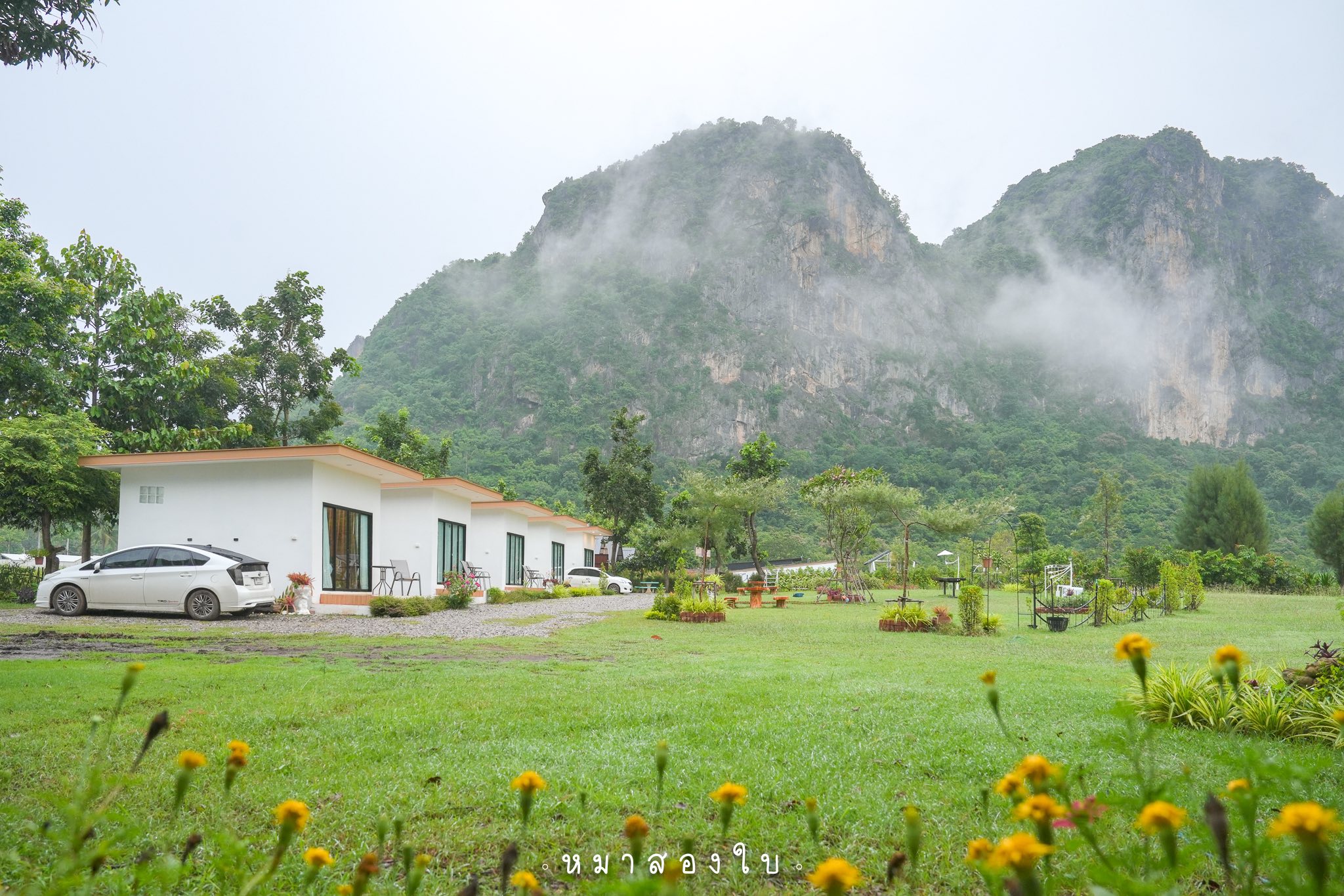 16 ที่พักภูผาม่าน ขอนแก่น Pet Friendly (หมา/แมว) หมาใหญ่พักได้ 2569