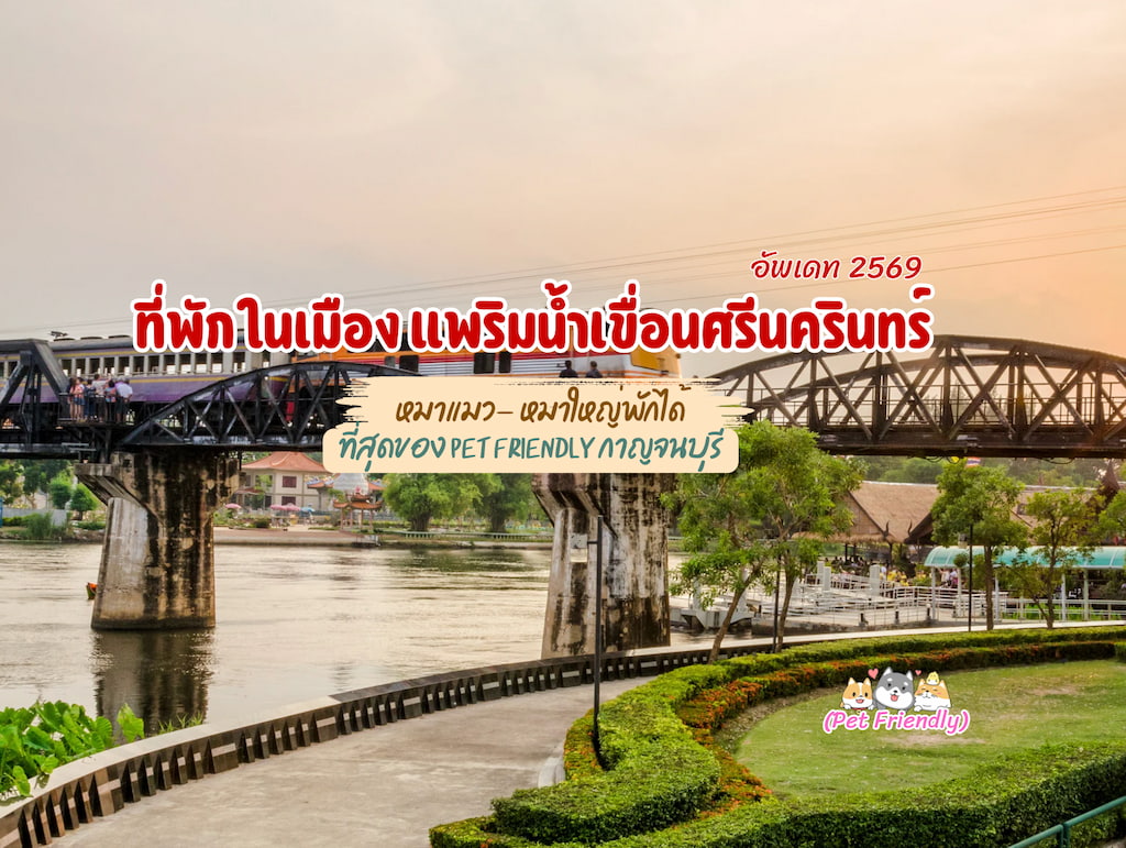 อัปเดต 2569! ที่พักแพริมน้ำเขื่อนศรีนครินทร์ (หมาใหญ่พักได้) | ที่สุดของ Pet Friendly กาญจนบุรี