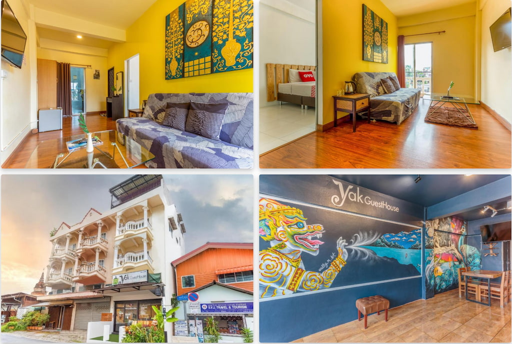 ที่พักเชียงใหม่ Pet Friendly ใกล้แหล่งท่องเที่ยวในตัวเมืองเชียงใหม่  หมาใหญ่พักได้