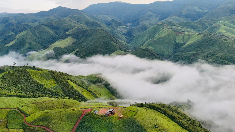 บ้านแห่งสายหมอก ห้วยหมี น่าน | ที่พัก Pet Friendly วิวทะเลหมอก (หมาใหญ่พักได้) 2026