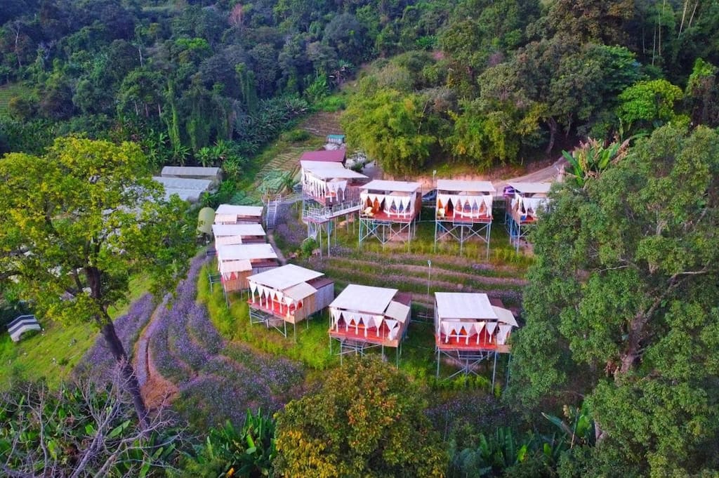 469225771_547594128185481_4029229036367247409_n (1).jpg