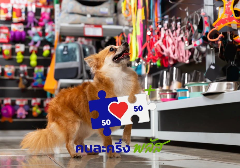 คนละครึ่งพลัส ซื้อของที่ไหน? สรุป! โลตัส, บิ๊กซี, เซเว ...