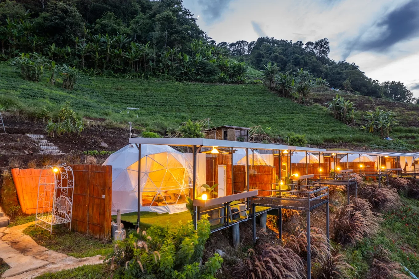 อัปเดต 2026! 30 ที่พัก Pet Friendly ม่อนแจ่ม-แม่ริม เชียงใหม่ | หมาใหญ่พักได้! วิวทะเลหมอก