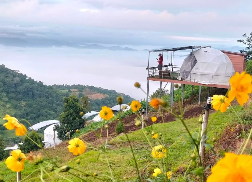 ภาพถ่ายหน้าจอ 2568-11-09 เวลา 12.11.05.jpg