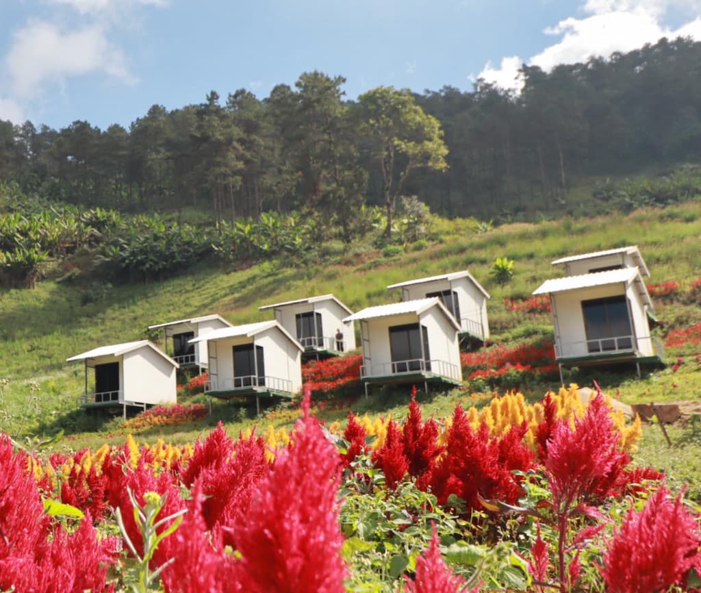 7 ที่พักใกล้ทุ่งดอกบัวตอง ดอยแม่อูคอ | หมาแมวพักได้ (รับหมาใหญ่) ชมวิวหมอก 360°