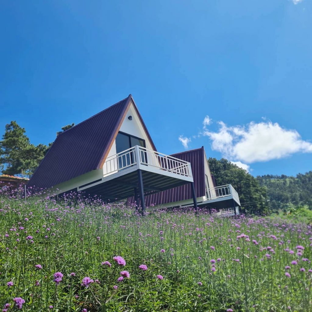 7 ที่พักใกล้ทุ่งดอกบัวตอง ดอยแม่อูคอ | หมาแมวพักได้ (รับหมาใหญ่) ชมวิวหมอก 360°