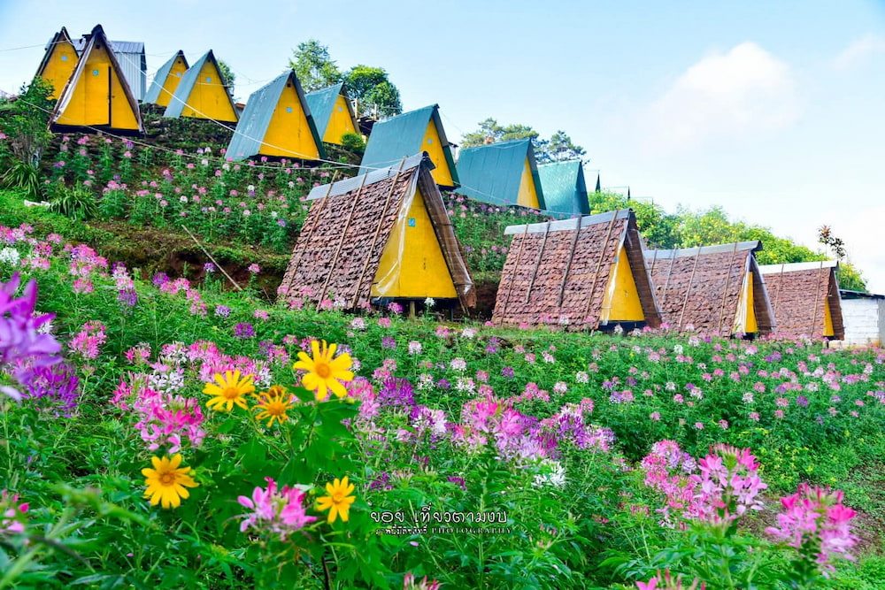 7 ที่พักใกล้ทุ่งดอกบัวตอง ดอยแม่อูคอ | หมาแมวพักได้ (รับหมาใหญ่) ชมวิวหมอก 360°