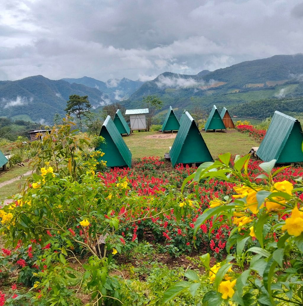 7 ที่พักใกล้ทุ่งดอกบัวตอง ดอยแม่อูคอ | หมาแมวพักได้ (รับหมาใหญ่) ชมวิวหมอก 360°