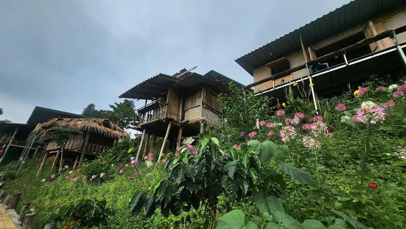 อัปเดต 2026! 7 ที่พักใกล้ทุ่งดอกบัวตอง ดอยแม่อูคอ | หมาแมวพักได้ (รับหมาใหญ่) ชมวิวหมอก 360°