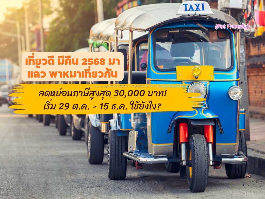 เที่ยวดี มีคืน 2568: พาหมาแมวเที่ยว ลดหย่อนภาษีสูงสุด 30,000 บาท! เริ่ม 29 ต.ค. - 15 ธ.ค. ใช้ยังไง?