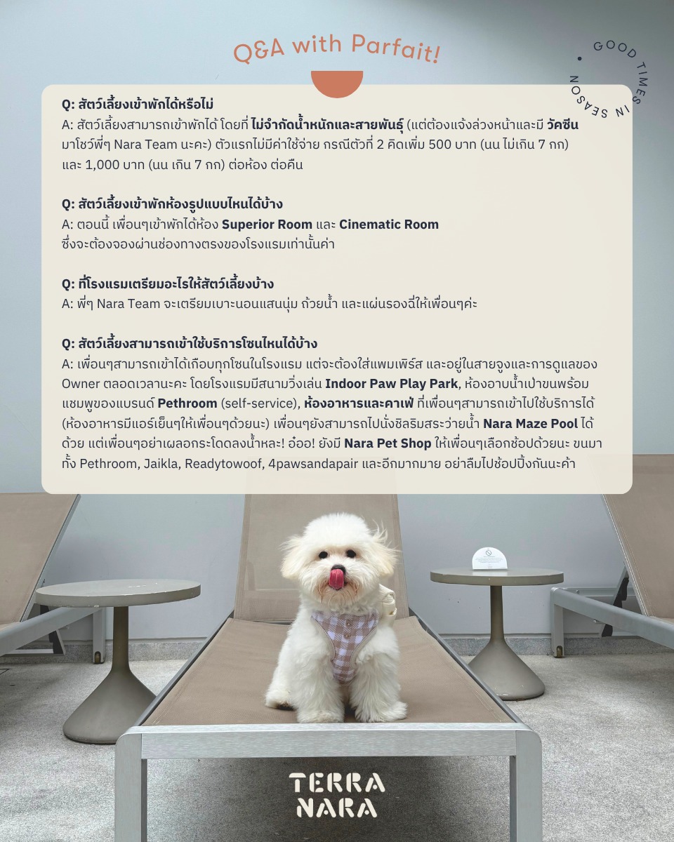 โรงแรม Terra Nara พัทยา | รับหมาใหญ่ (Pet Friendly) ใกล้ชายหาด 200 ม.