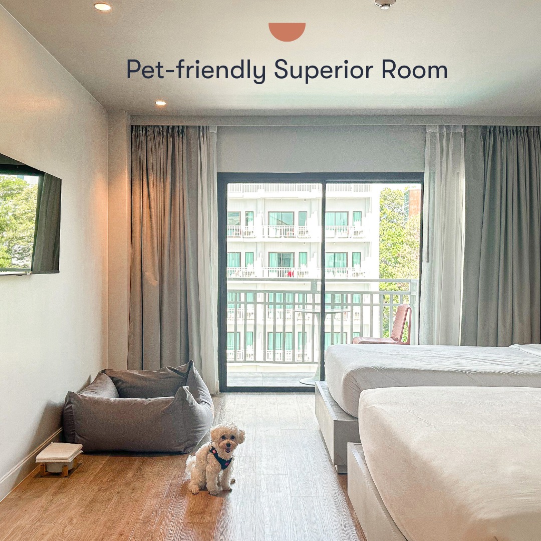 โรงแรม Terra Nara พัทยา | รับหมาใหญ่ (Pet Friendly) ใกล้ชายหาด 200 ม.