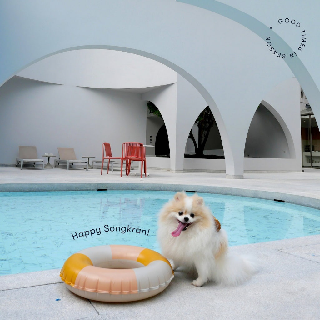 อัปเดต 2026! โรงแรม Terra Nara พัทยา | รับหมาใหญ่ (Pet Friendly) ใกล้ชายหาด 200 ม.