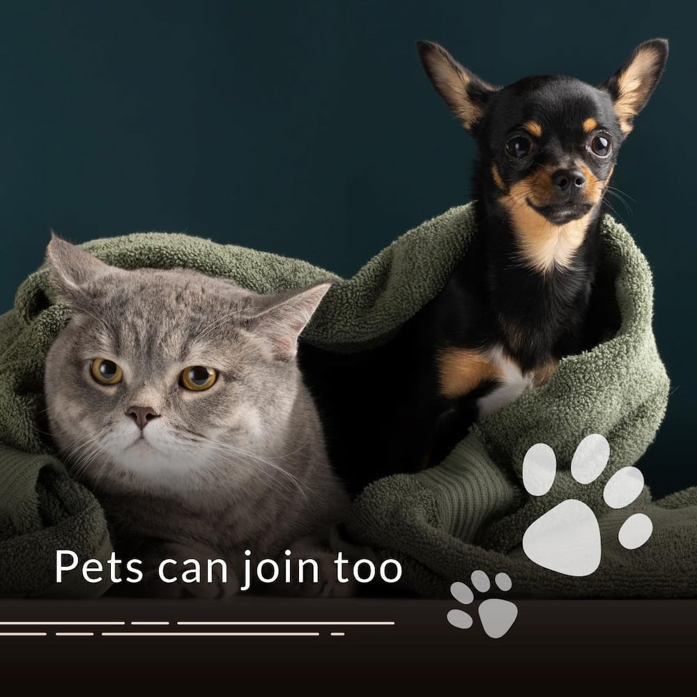 เฌอลินน์ รีสอร์ท กาญจนบุรี: ที่พัก Pet Friendly หมาใหญ่พักได้! แพริมน้ำ  วิวแม่น้ำแควน้อย