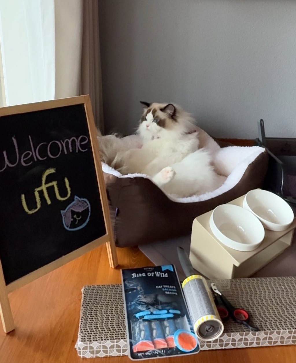 เฌอลินน์ รีสอร์ท กาญจนบุรี: ที่พัก Pet Friendly หมาใหญ่พักได้! แพริมน้ำ  วิวแม่น้ำแควน้อย