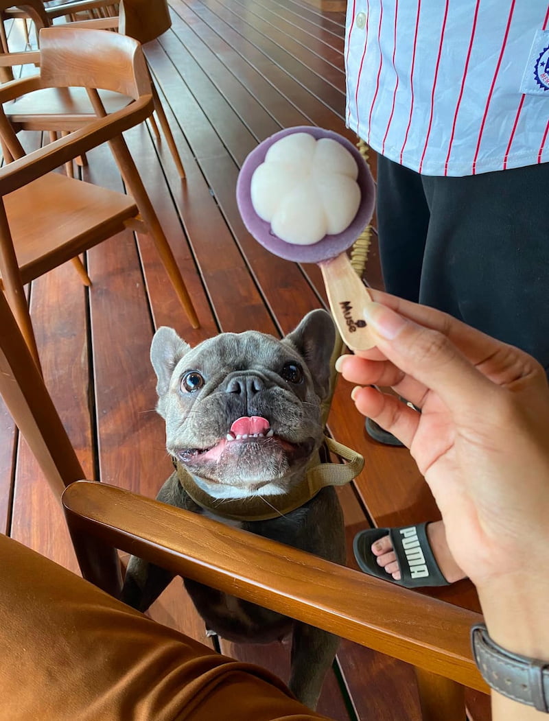 เฌอลินน์ รีสอร์ท กาญจนบุรี: ที่พัก Pet Friendly หมาใหญ่พักได้! แพริมน้ำ  วิวแม่น้ำแควน้อย