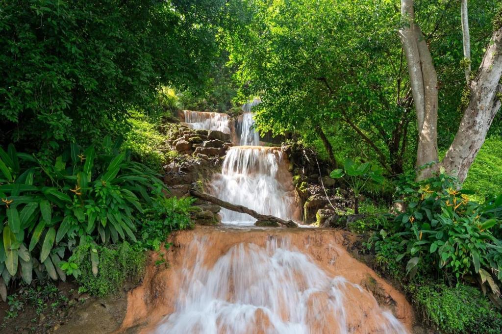 เฌอลินน์ รีสอร์ท กาญจนบุรี: ที่พัก Pet Friendly หมาใหญ่พักได้! แพริมน้ำ  วิวแม่น้ำแควน้อย