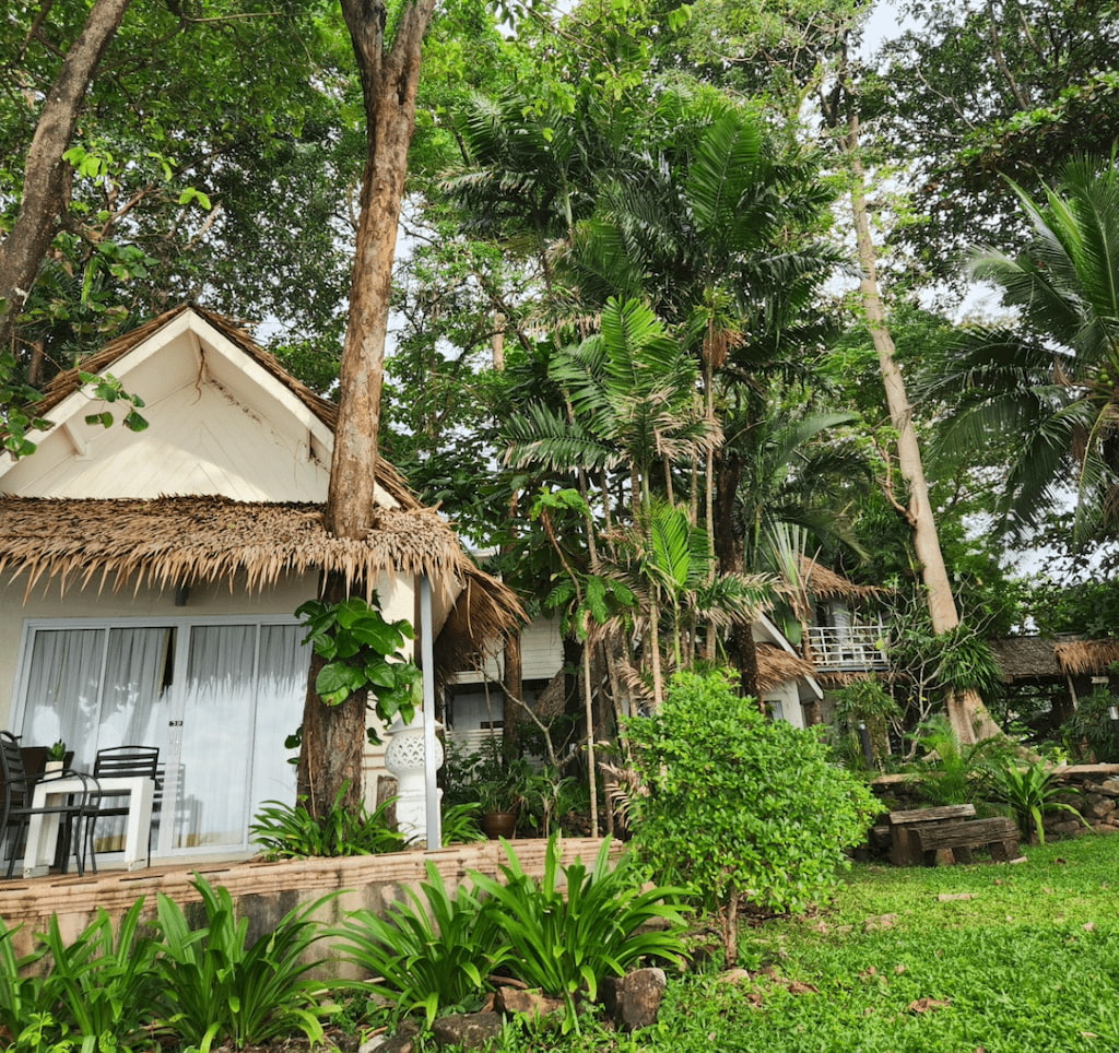 รีวิว Saffron On The Sea เกาะช้าง Pet Friendly หมาแมวพักได้ วิวทะเล 2569 