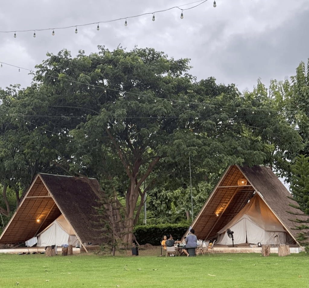 รวมที่พักรับหมาใหญ่ทั่วไทย 2026 (Pet Friendly) สุนัขพันธุ์ใหญ่พักได้ พาเที่ยวสบายใจ