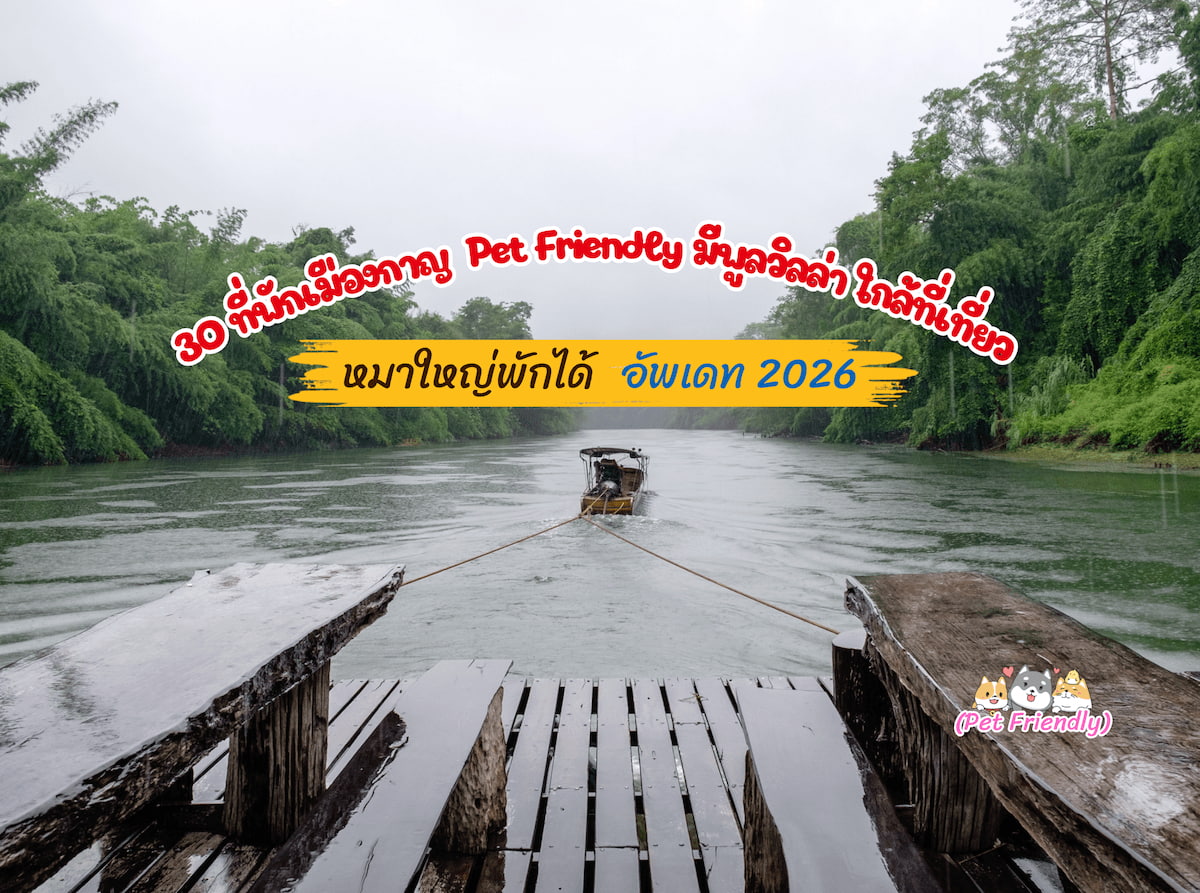 ที่พักกาญจนบุรีหมาแมวพักได้.jpg