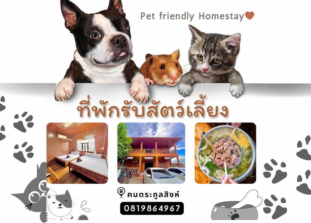 47 ที่พักเชียงคาน หมาพักได้ (รับหมาใหญ่) มีพูลวิลล่า/เหมาหลัง/ริมโขง