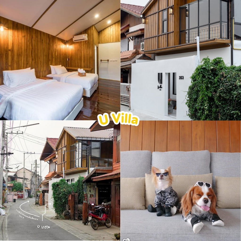 47 ที่พักเชียงคาน หมาพักได้ (รับหมาใหญ่) มีพูลวิลล่า/เหมาหลัง/ริมโขง